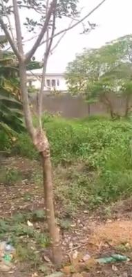 Distress Sdistress!  605sqmts Land for in a Close Adja, Adjacent to Golf Gate in a Build Up Area., Lakowe, Ibeju Lekki, Lagos, Land for Sale