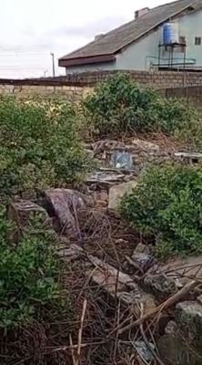 a Full Plot of Land at Onipanu Back of Mobil Filling Station.  Title :, Onipanu, Shomolu, Lagos, Residential Land for Sale