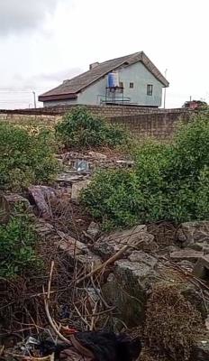 a Full Plot of Dry Land at Onipanu, Onipanu, Shomolu, Lagos, Mixed-use Land for Sale