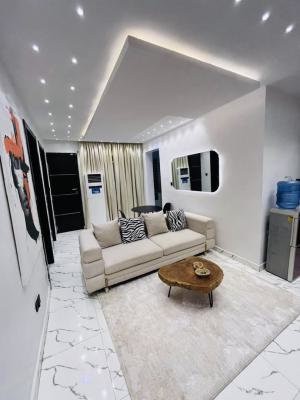 Good Deal Beautifully Furnished 2 Bedroom Apartment, Ologolo, Lekki, Lagos, Flat / Apartment for Rent