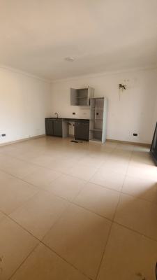 Fully Serviced Spacious Miniflat with 2 Balconies, Henry Ojogho Crescent, Lekki Phase 1, Lekki, Lagos, Mini Flat (room and Parlour) for Rent