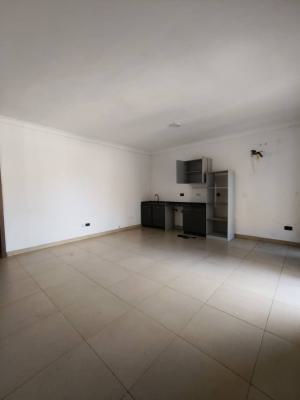 Luxury 1 Bedroom Apartment with Balcony, Lekki Phase 1, Lekki, Lagos, Mini Flat (room and Parlour) for Rent