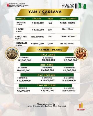 Cheap Farm Land, Ishoko Village Off Dangote Road, Ofada Ibafo, Sango Ota, Ogun, Mixed-use Land for Sale