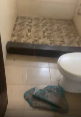 Spacious 1 Bedroom Apartment, Salem, Ikate, Lekki, Lagos, Mini Flat (room and Parlour) for Rent