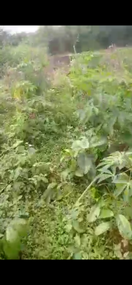 3 Plots of Land, Orile-imo, Opposite Int’l Brewery, Shagamu Bypass, Mowe Ofada, Ogun, Mixed-use Land for Sale