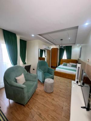 Exquisitely Furnished Studio Apartment, Molusi Street, Surulere, Lagos, Block of Flats for Sale