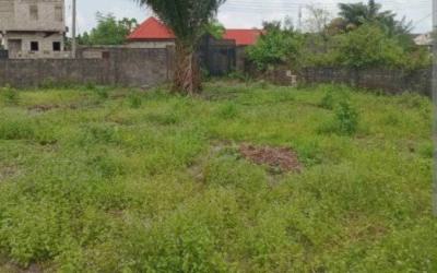 Waterfront Land Joint Venture, Ikoyi, Banana Island, Ikoyi, Lagos, Residential Land Joint Venture