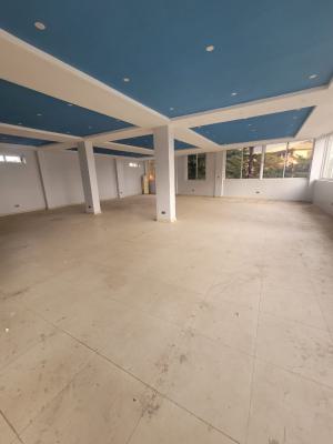 Spacious Hall, Jabi, Abuja, Office Space for Rent