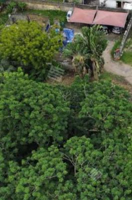 Closeable Joint Venture, Ademola Street South West Off Awolowo Ikoyi, Ikoyi, Lagos, Residential Land Joint Venture