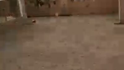 5 Bedrooms Duplex with 2 Units Self-contain Bq, Around Sunnyvale Estate, Lokogoma District, Abuja, Detached Duplex for Rent