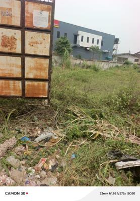Empty Land Measuring 1300sqm, Omole Phase 2, Omole Phase 2, Ikeja, Lagos, Land for Sale