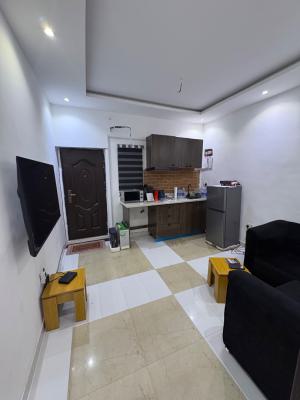 Unfurnished 1bed Room/mini Flat, Kenneth Agbakuru, Lekki Phase 1, Lekki, Lagos, Mini Flat (room and Parlour) for Rent