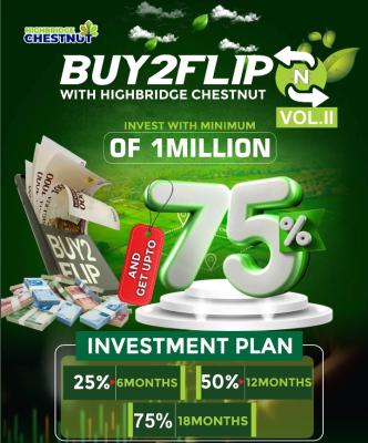 Buy to Flip Land, Ibeju Lekki, Lagos, Residential Land for Sale