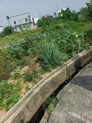 450sqm Residensial Land, Pearl Garden Estate, Sangotedo, Ajah, Lagos, Residential Land for Sale