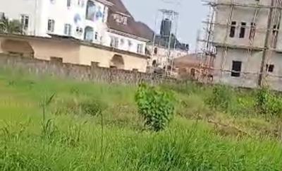 2 Plots of Land, Greenfield Estate, Off Ago Palace Way, Ago, Okota, Isolo, Lagos, Land for Sale