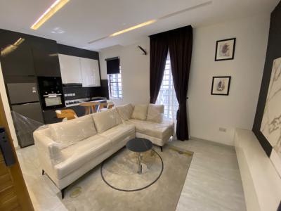 2-bedroom Airbnb Apartment, Ikate, Lekki, Lagos, Flat / Apartment for Sale