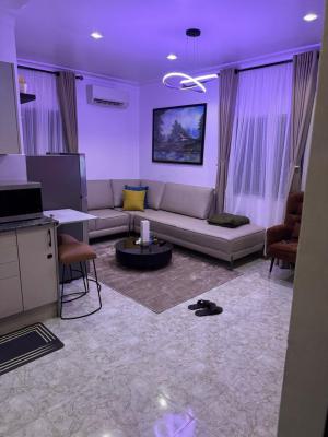 Luxurious 1 Bedroom Apartment, Parkview, Ikoyi, Lagos, Flat / Apartment for Rent