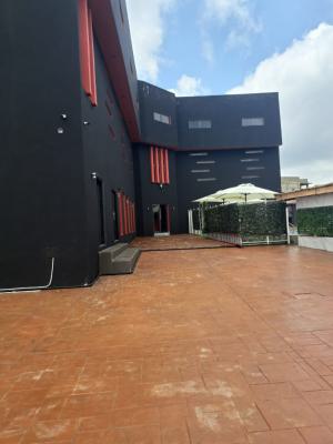 Luxury 15-room Boutique Hotel for Lease, Asokoro District, Abuja, Hotel / Guest House for Rent