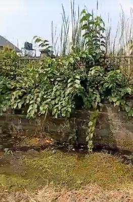 3 Plots of Land, Gra, Abijo, Lekki, Lagos, Mixed-use Land for Sale