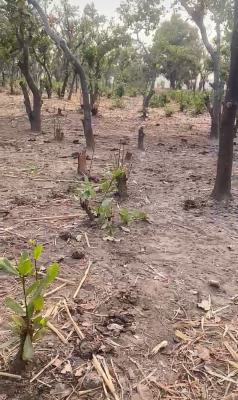 1350 Sqm of Land, Kabusa, Abuja, Residential Land for Sale