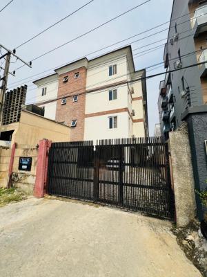 Clean 2 Bedroom Flat in a Secured Estate, Ikate, Lekki, Lagos, Flat / Apartment for Rent