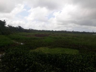 Waterfront 20 Acres of Land, Oto Awori, Ijanikin, Badagry, Lagos, Mixed-use Land for Sale
