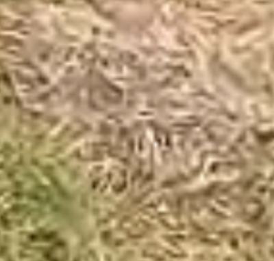 800 Sqm at Cowrie Creek Estate Ikate,lekki, Ikate,lekki, Lekki, Lagos, Land for Sale