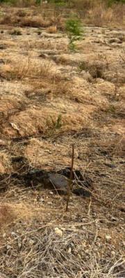 Land Available, By Inec Office, Sabo, Yaba, Lagos, Mixed-use Land for Sale