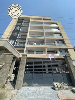 Exquisite 2 Bedroom Apartment, Ikate, Lekki, Lagos, Flat / Apartment for Sale