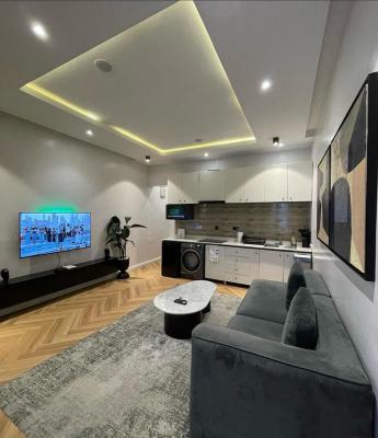 Luxury Two Bedroom Apartment with Luxury Finishes, Lekki Phase 1, Lekki, Lagos, Flat / Apartment Short Let