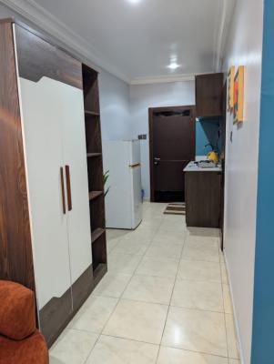 Clean Two Bedroom Flat in Parkview Estate, Ikoyi, Parkview, Ikoyi, Lagos, Flat / Apartment for Rent