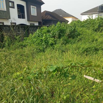 a Prime 400sqm of Land, Lekki Pennusula Scheme 2, Abraham Adesanyan, Ogombo, Ajah, Lagos, Mixed-use Land for Sale