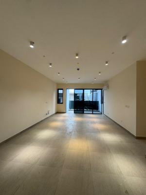 Newly Built Grand 2 Bedroom Apartment, Lekki Phase 1, Lekki, Lagos, Flat / Apartment for Rent