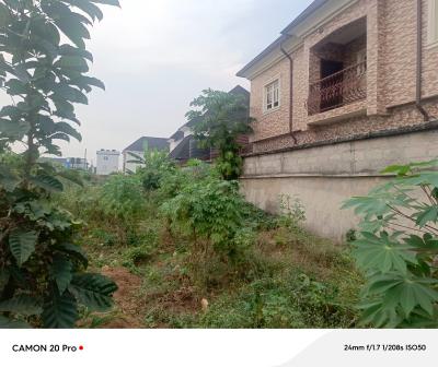 3 Government Allocation Plots of Corner Piece Land, Housing Area T New Owerri Layout, New Owerri, Owerri Municipal, Imo, Mixed-use Land for Sale