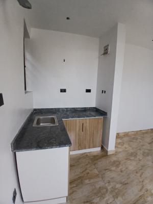 Brand New and Serviced with 24/7 Power Supply Very Compact 1 Bedroom , Ikate Elegushi, Lekki, Lagos, Mini Flat (room and Parlour) for Rent