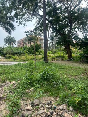 Prime 1300 Sqm Plot, Off Adetokumbo Ademola Way, Victoria Island (vi), Lagos, Mixed-use Land for Sale