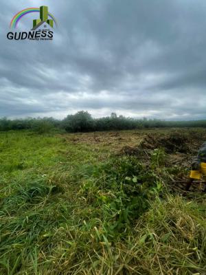 Own Virgin Land in a Fast-growing Area, Abijo, Lekki, Lagos, Commercial Land for Sale