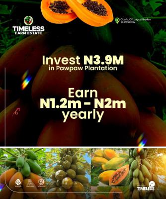 Paw Paw Plantation, Ibadan, Oyo, Land for Sale