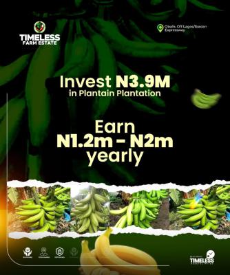 Plantain Plantation, Ibadan, Oyo, Land for Sale