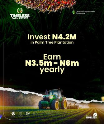 Palm Tree Plantation, Ibadan, Oyo, Land for Sale