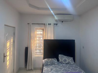 Luxury Shared 3 Bedroom Semi Detached Duplex, Unity Homes , Thomas Estate, Ajah, Lagos, Mini Flat (room and Parlour) for Rent
