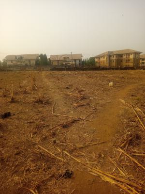 2 Hectares of Land, Central Area, Central Business District, Abuja, Mixed-use Land for Sale