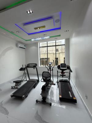 Spacious 6 Bedroom Fully Detached Duplex with Bq, Equipped Gym, Cinema, Ikate, Lekki, Lagos, Detached Duplex for Sale