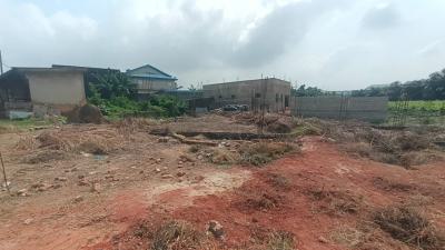 Half Plot of Land with C of O, Ojokoro Newtown Estate,, Agric, Ikorodu, Lagos, Residential Land for Sale