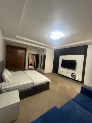 Luxury Smart Self Contain Spacious Service and Furnished Apartment, By Shop Rite, Jabi, Abuja, Self Contain (single Rooms) Short Let