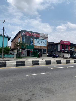 Luxurious 4 Bedroom Detached House, Adeniran Ogunsaya Surulere, Surulere, Lagos, House for Sale