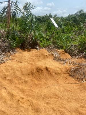 an Acre of Land, Igbonla, Epe, Lagos, Mixed-use Land for Sale