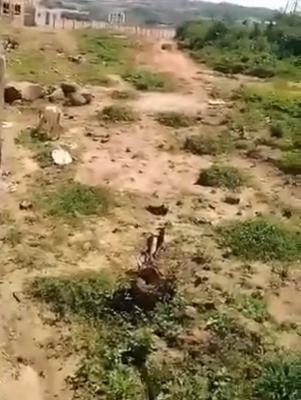 Premium Parcel of 3,000 Sqm of Land, Victoria Island (vi), Lagos, Mixed-use Land for Sale