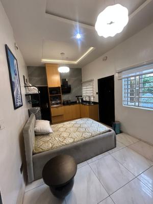 Nicely Furnished Studio Apartment, Victoria Island (vi), Lagos, Flat / Apartment Short Let