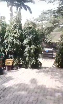 Functional Garden Land Measuring About 1 Hectare for Lease., Gudu, Abuja, Land for Rent